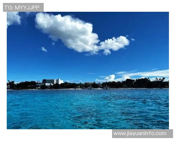 仙台七夕与海洋的奇妙交融探寻传统与自然的美丽结合 仙台七夕与海洋的奇妙交融探寻传统与自然的美丽结合